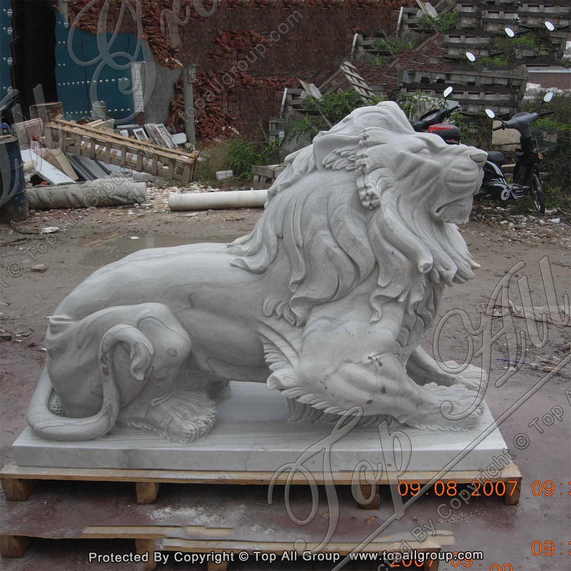 Garden decor life size carved antique marble stone sitting lion statue TAAS-030 detail pictures
