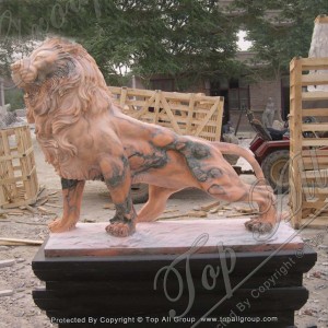 Hand-made Carving Stone Lion with Marble Statue Sculpture TAAS-034