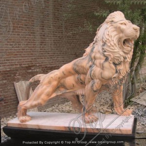 Hand-made Carving Stone Lion with Marble Statue Sculpture TAAS-034