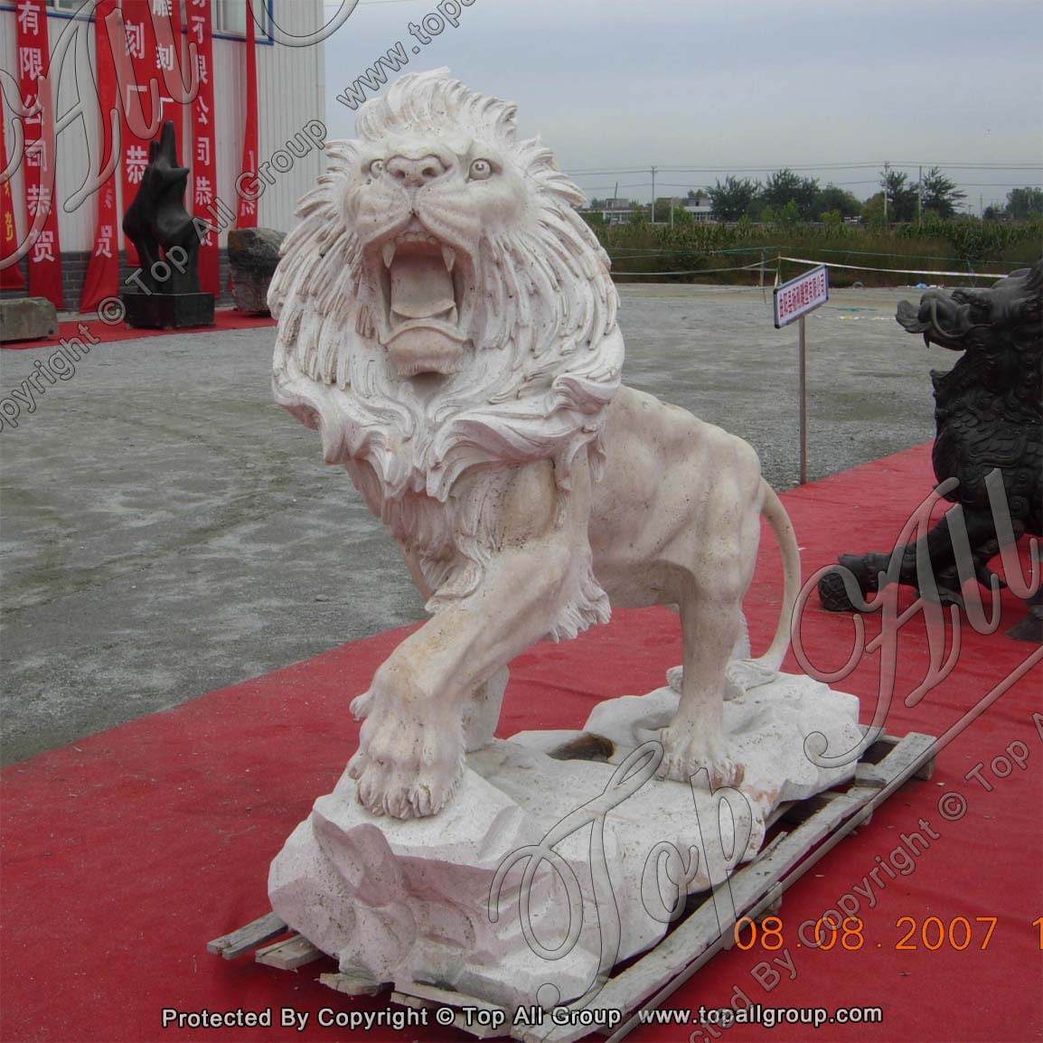 Life size stone marble working lion statue