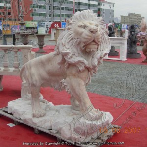 Άγαλμα λιονταριού εργαζόμενου από μάρμαρο φυσικού μεγέθους TAAS-024