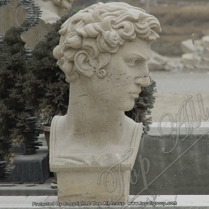 Sandstone David Bust Statue Head Sculpture TABS-012