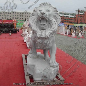 Stone Animal White Marble Lion Sculpture TAAS-025